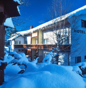 Hotel Waldeck